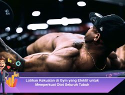 Latihan Kekuatan di Gym yang Efektif untuk Memperkuat Otot Seluruh Tubuh